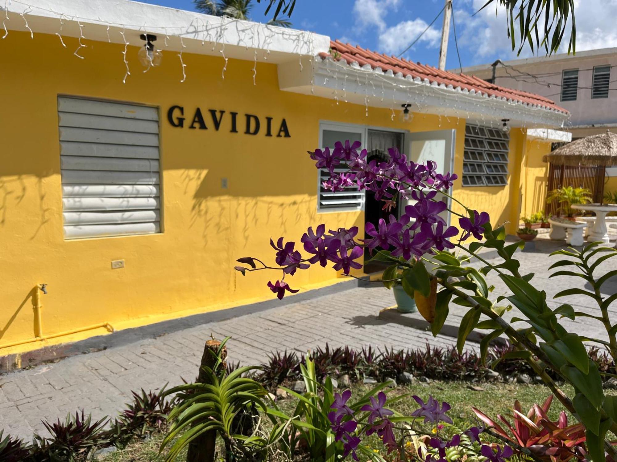 Gavidias Guest House San Lorenzo Dış mekan fotoğraf
