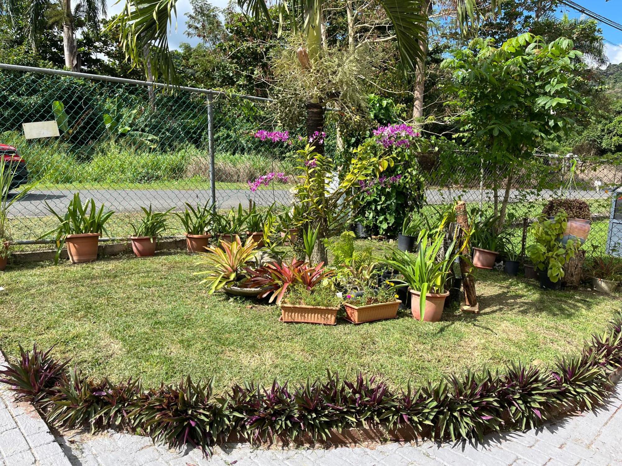 Gavidias Guest House San Lorenzo Dış mekan fotoğraf
